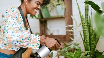 Cuide das suas plantas com produtos naturais